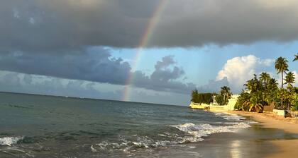 Solar-powered Gem Tours Walk to Beaches Eats
