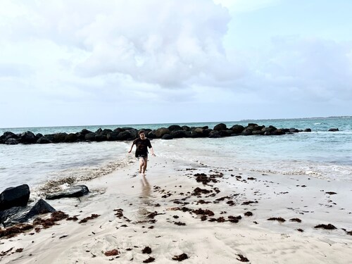 Solar-powered Gem Tours Walk to Beaches Eats