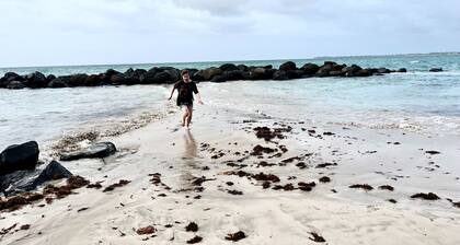 Solar-powered Gem Tours Walk to Beaches Eats