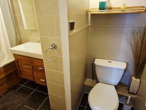 A bathroom with a toilet, a sink, and a shower area.