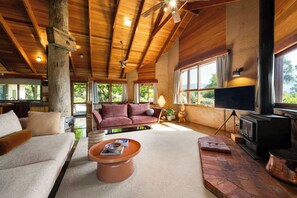 Televisie en een open haard