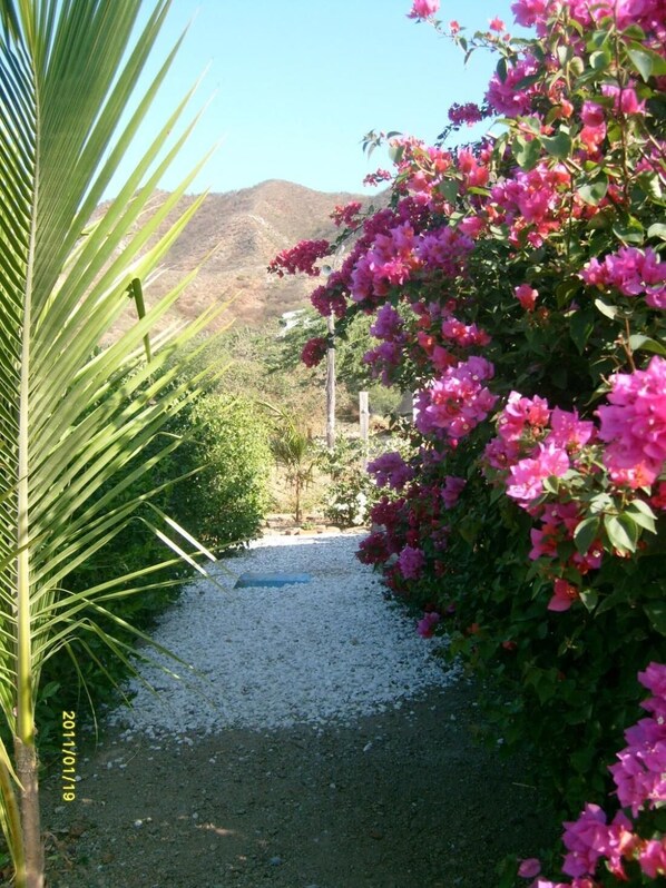 Room, 1 Bedroom, Smoking, Balcony | Garden