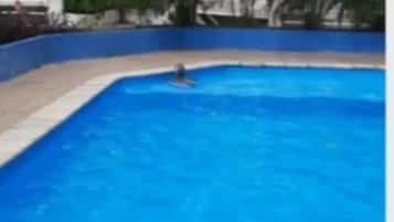Appartement, 3 chambres, accessible aux personnes à mobilité réduite, vue piscine | Piscine | Piscine extérieure