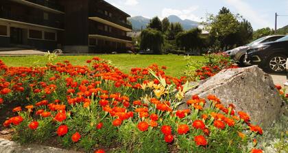 Bright T2 DRC apartment - 10mn walk to the village - 2 mn walk to the station shuttle bus