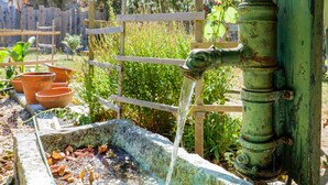 Ein rustikales Wasserspiel im Freien mit Holzpfeilung und Blumentöpfen.