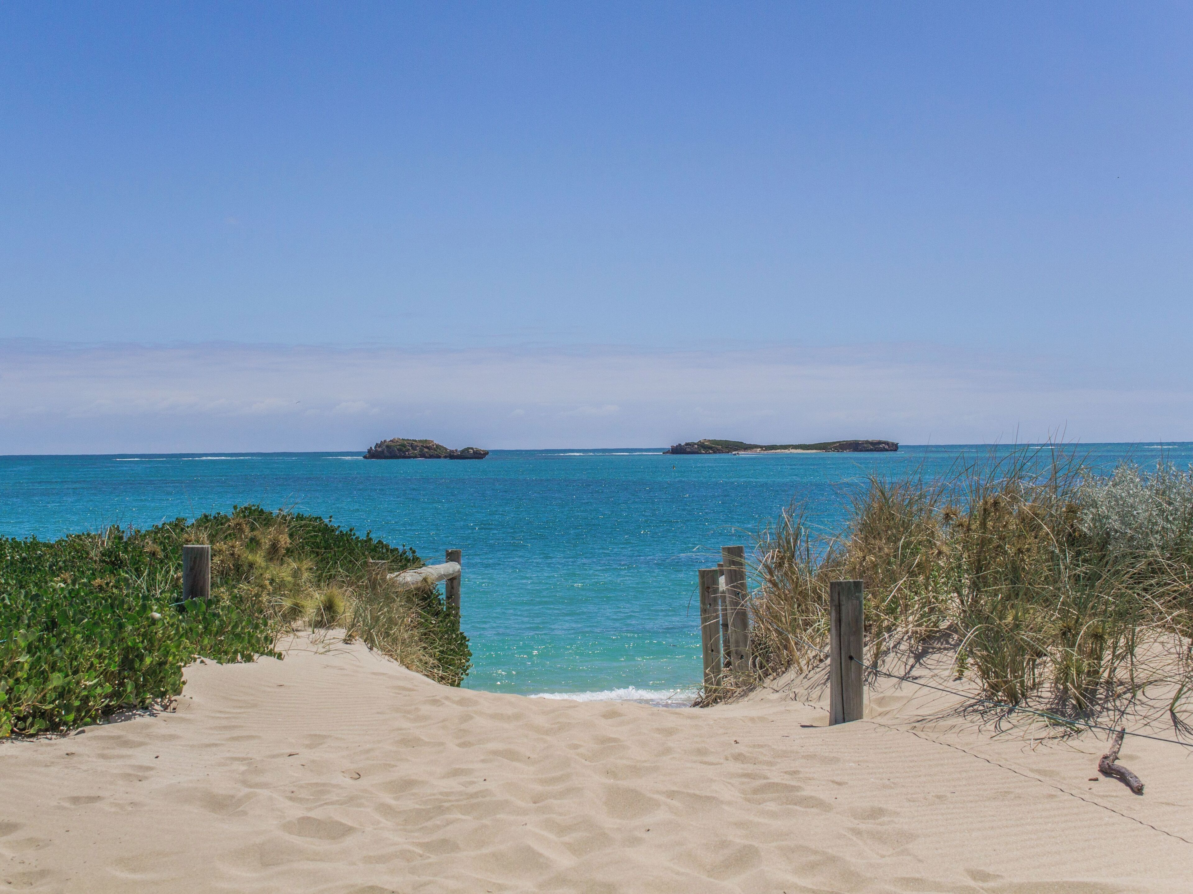 Une plage de sable avec une promenade en bois menant à l’eau, entourée de végétation.