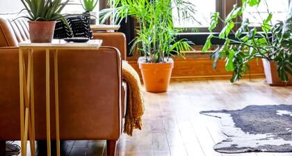 Prime Location Top Rated Clean Parking Free