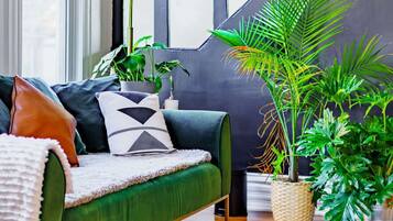 6 chambres, Internet