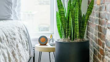 House | 2 bedrooms
