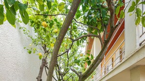 Un patio con un árbol, una maceta amarilla y un edificio con balcones.