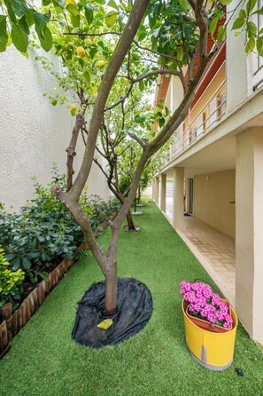 Property grounds - cosy house near the airport and the beach (Porto Rafti)