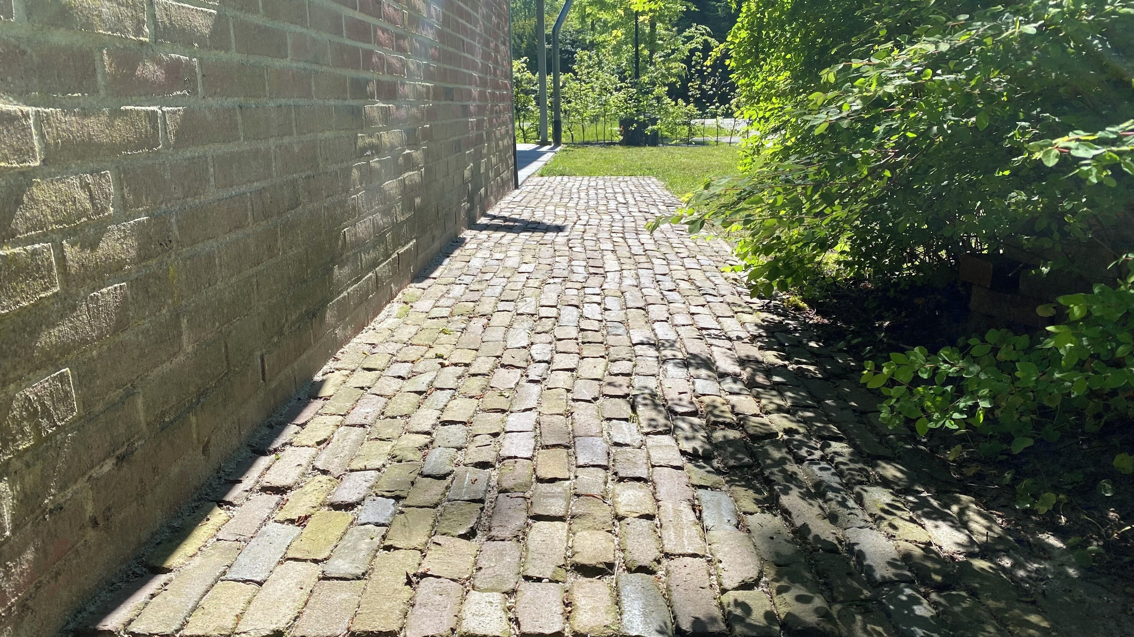 Àrea exterior de l'allotjament