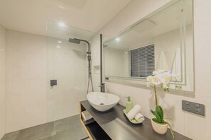 Shower, hair dryer, towels, shampoo