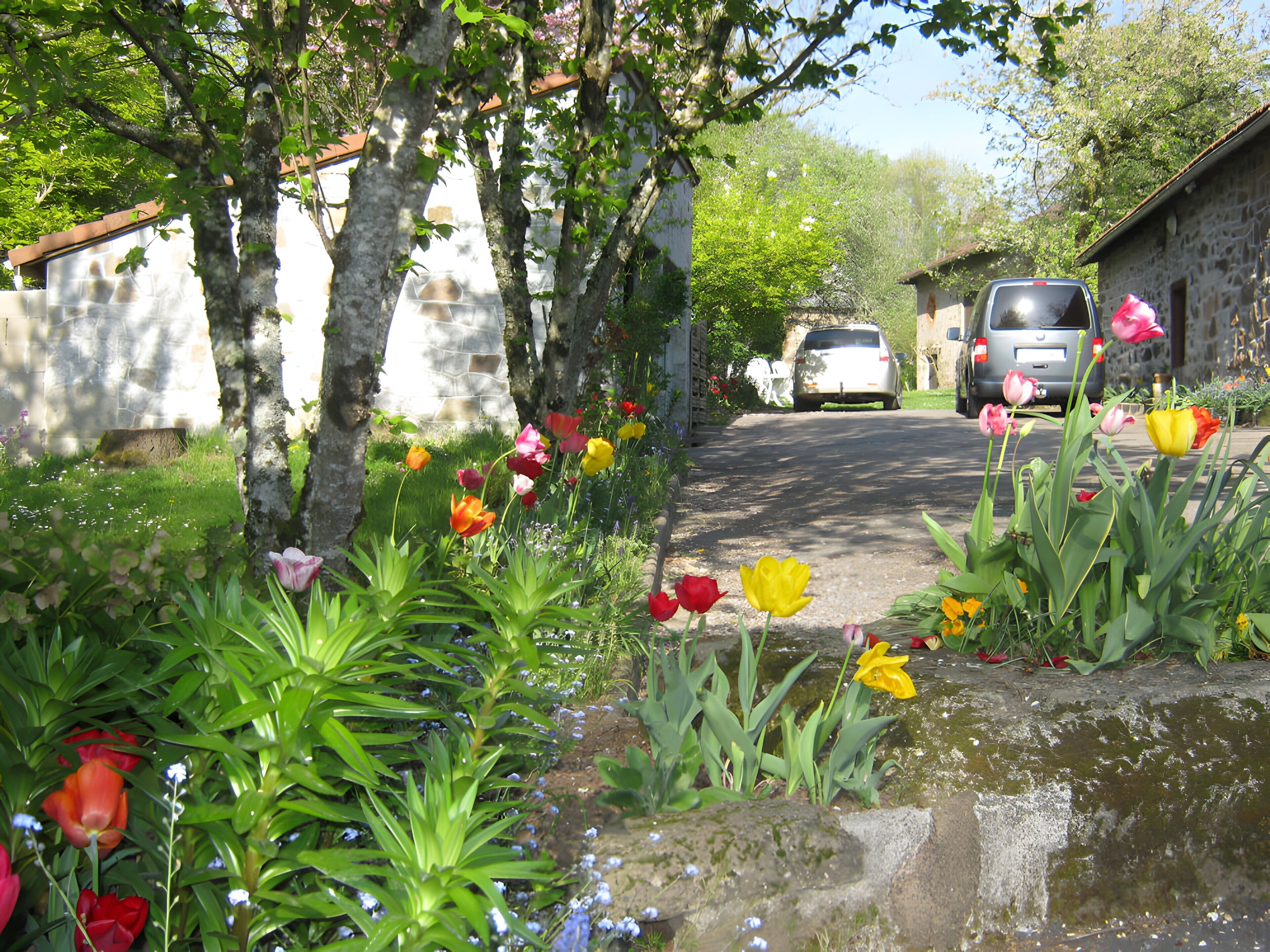 Un sendero de jardín con diversas flores y un muro de piedra.