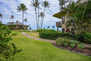 Property grounds - Special! Garden Breeze Retreat – Newly Renovated & New to Our Management (Lihue)