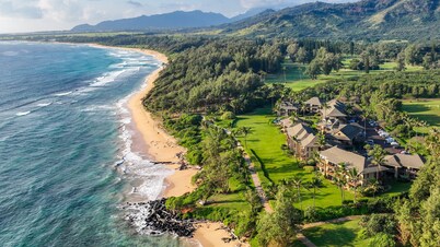Kaha Lani 103 – Newly Renovated & New to Our Management