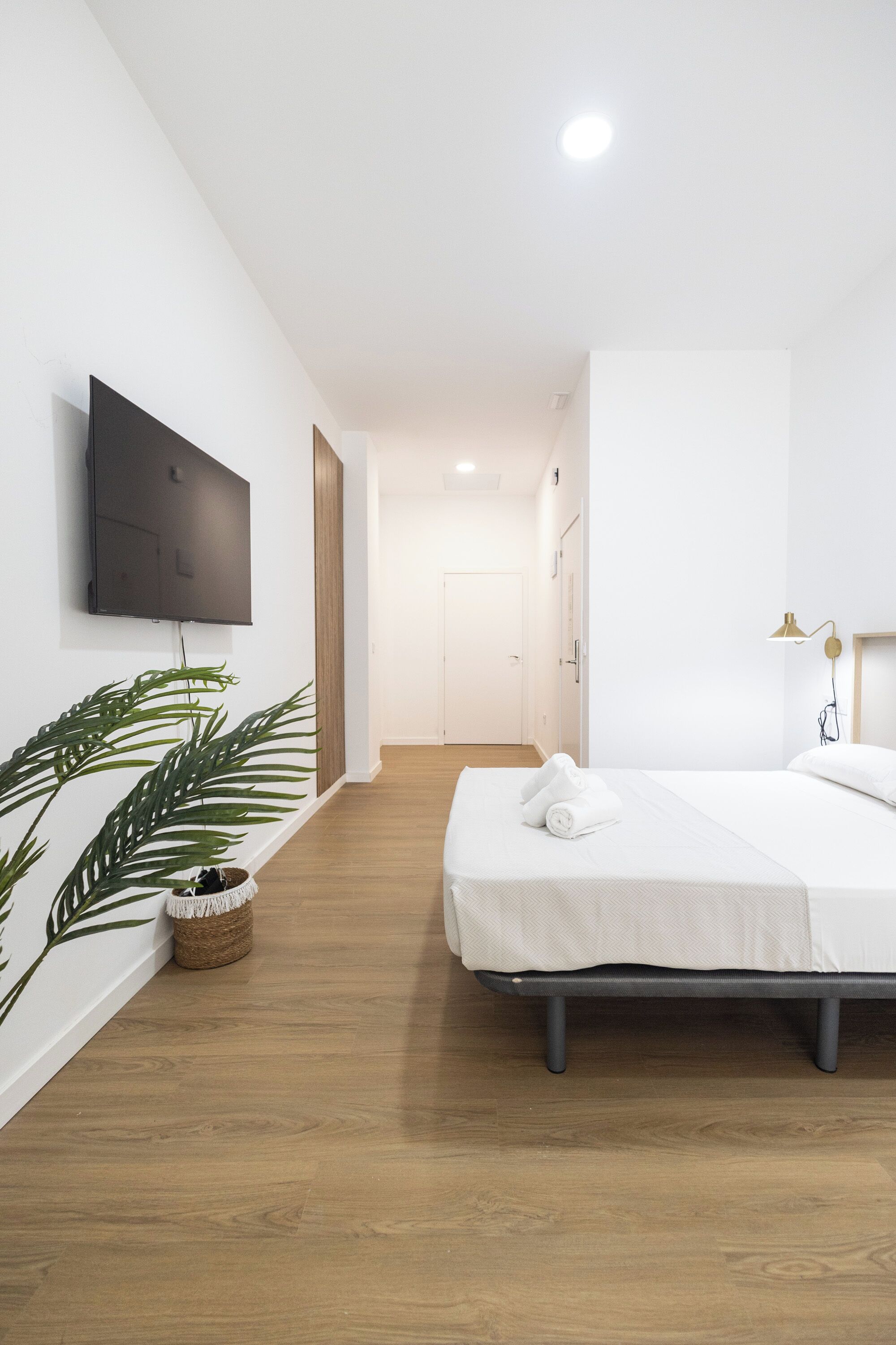Una habitación de hotel moderna con una cama, un televisor de pantalla plana en la pared, una planta en maceta y suelo de madera.