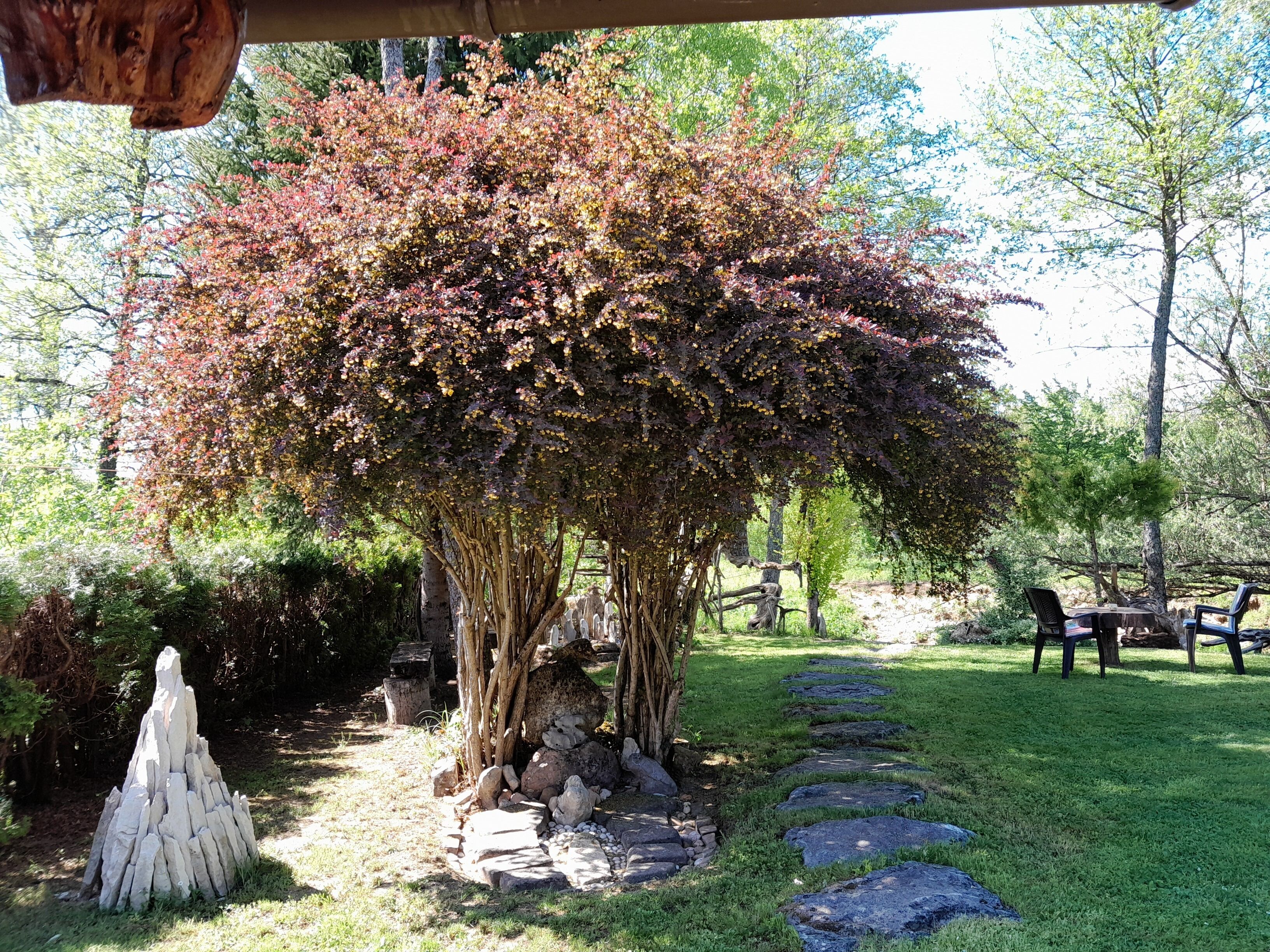 Terrein van de accommodatie