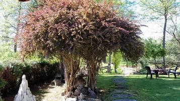 Overnattingsstedets uteområder