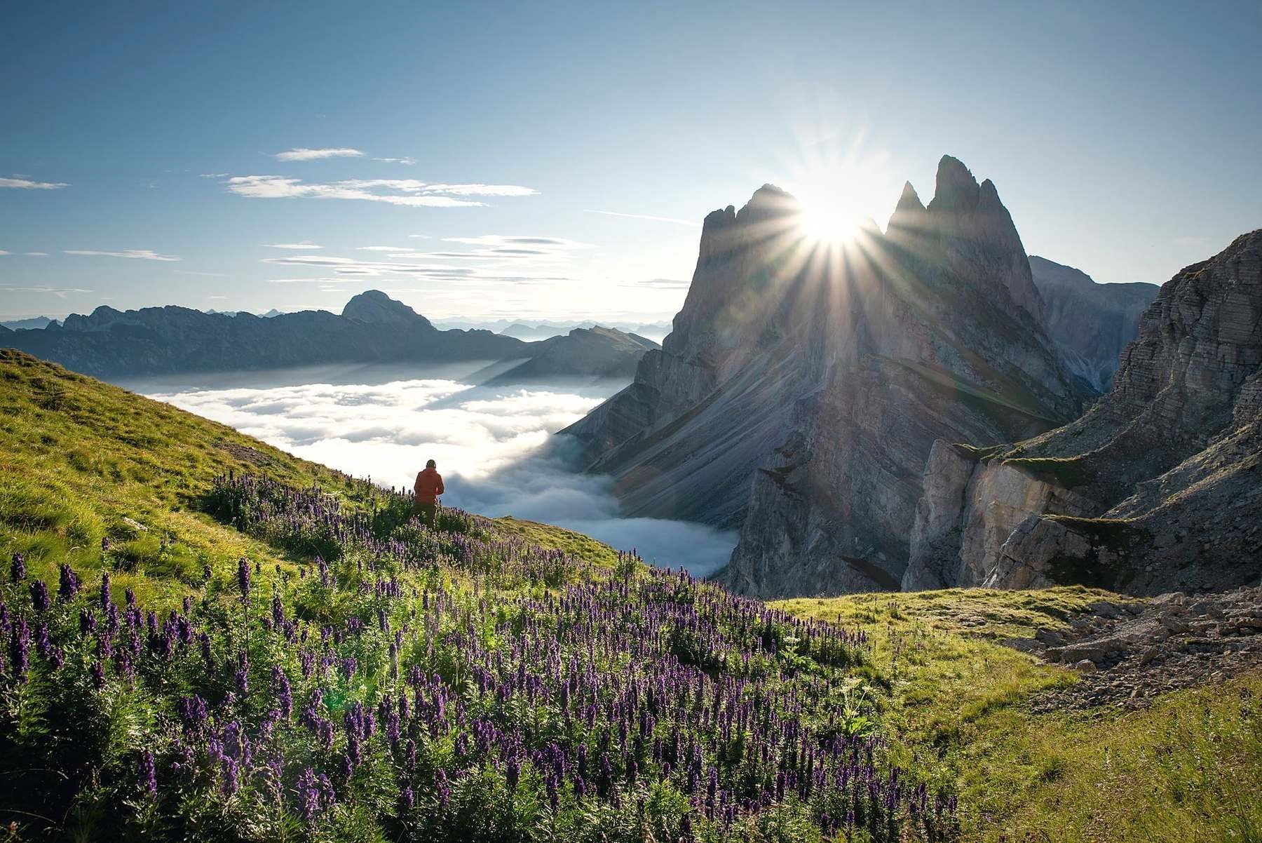 A mountainous landscape with a person standing on a grassy hill overlooking a valley with purple flowers and a sun shining through the clouds.