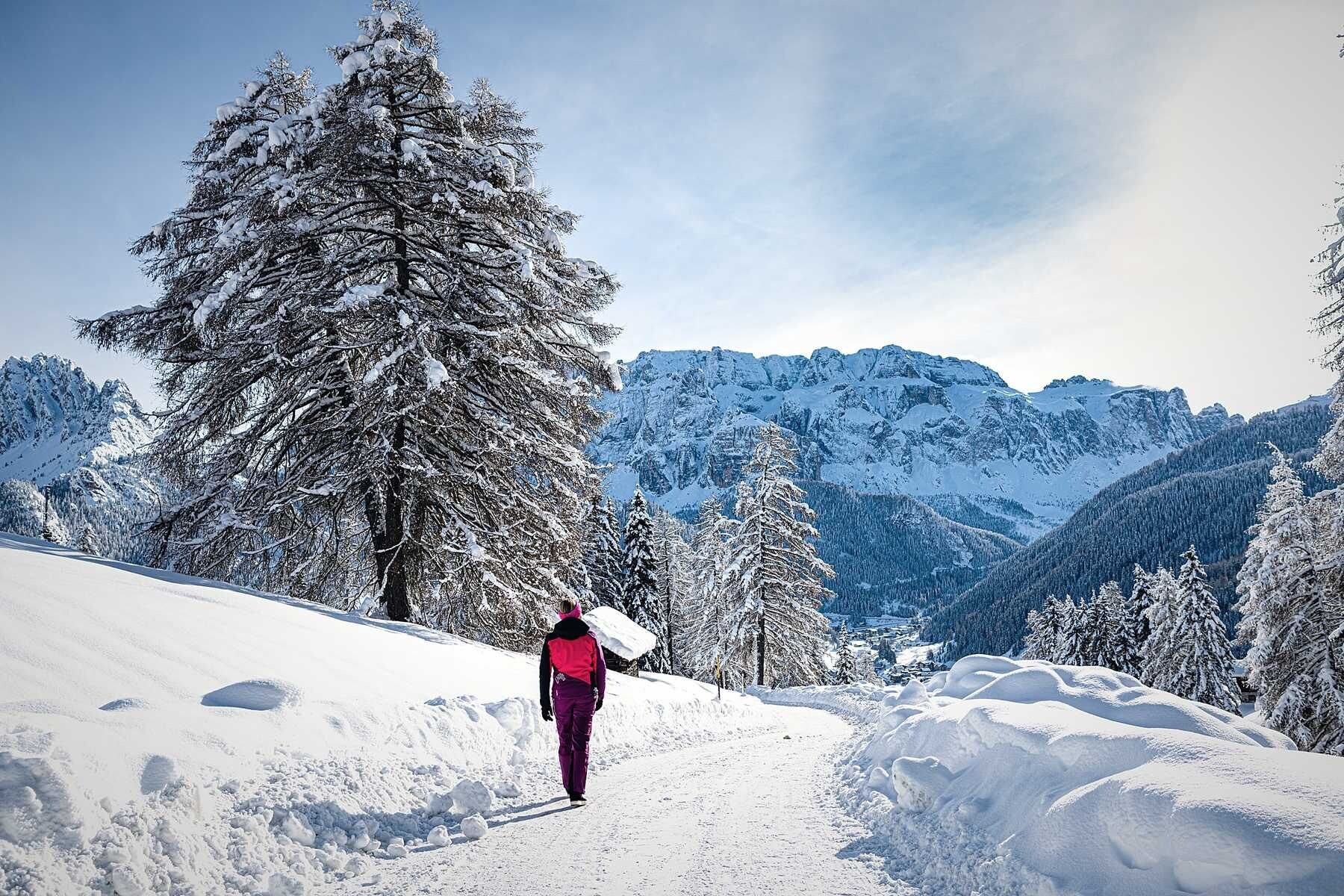 A snowy mountain path with a person walking away, surrounded by snow-covered trees and mountains in the background.