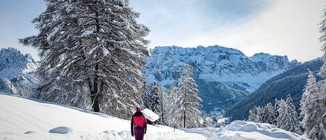 A snowy mountain path with a person walking away, surrounded by snow-covered trees and mountains in the background.