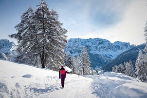 Un sendero nevado en la montaña con una persona alejándose, rodeado de árboles cubiertos de nieve y montañas al fondo.