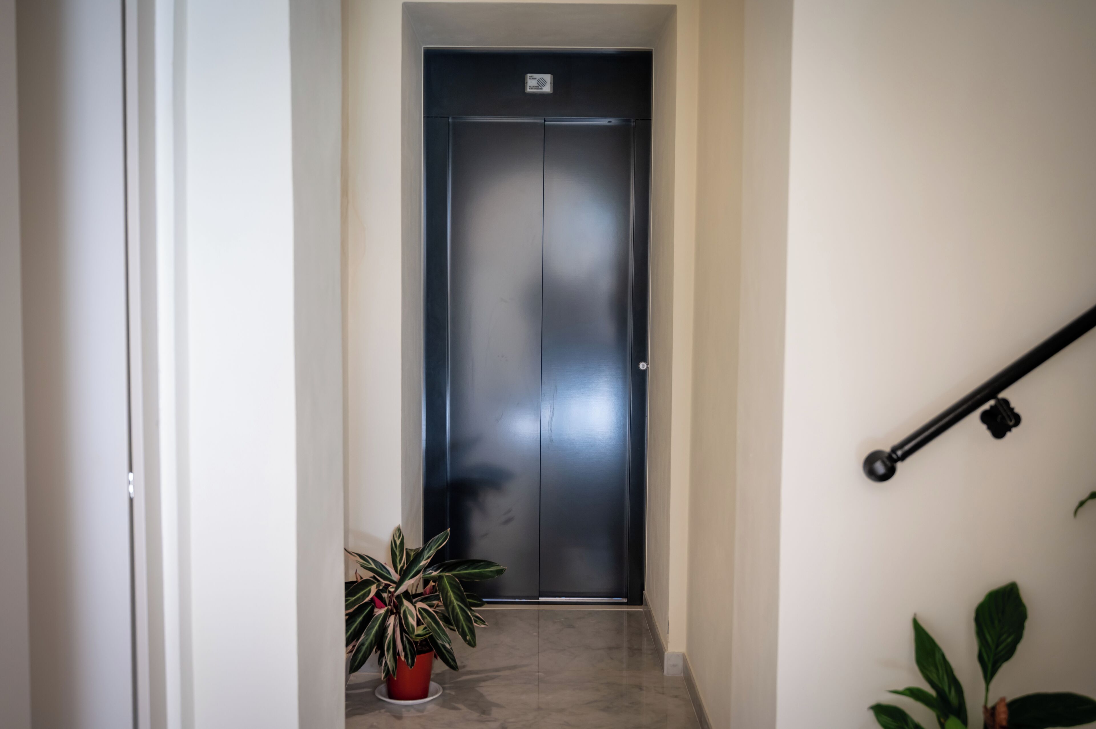 A hallway with a closed elevator door, a potted plant, and a handrail on the right.