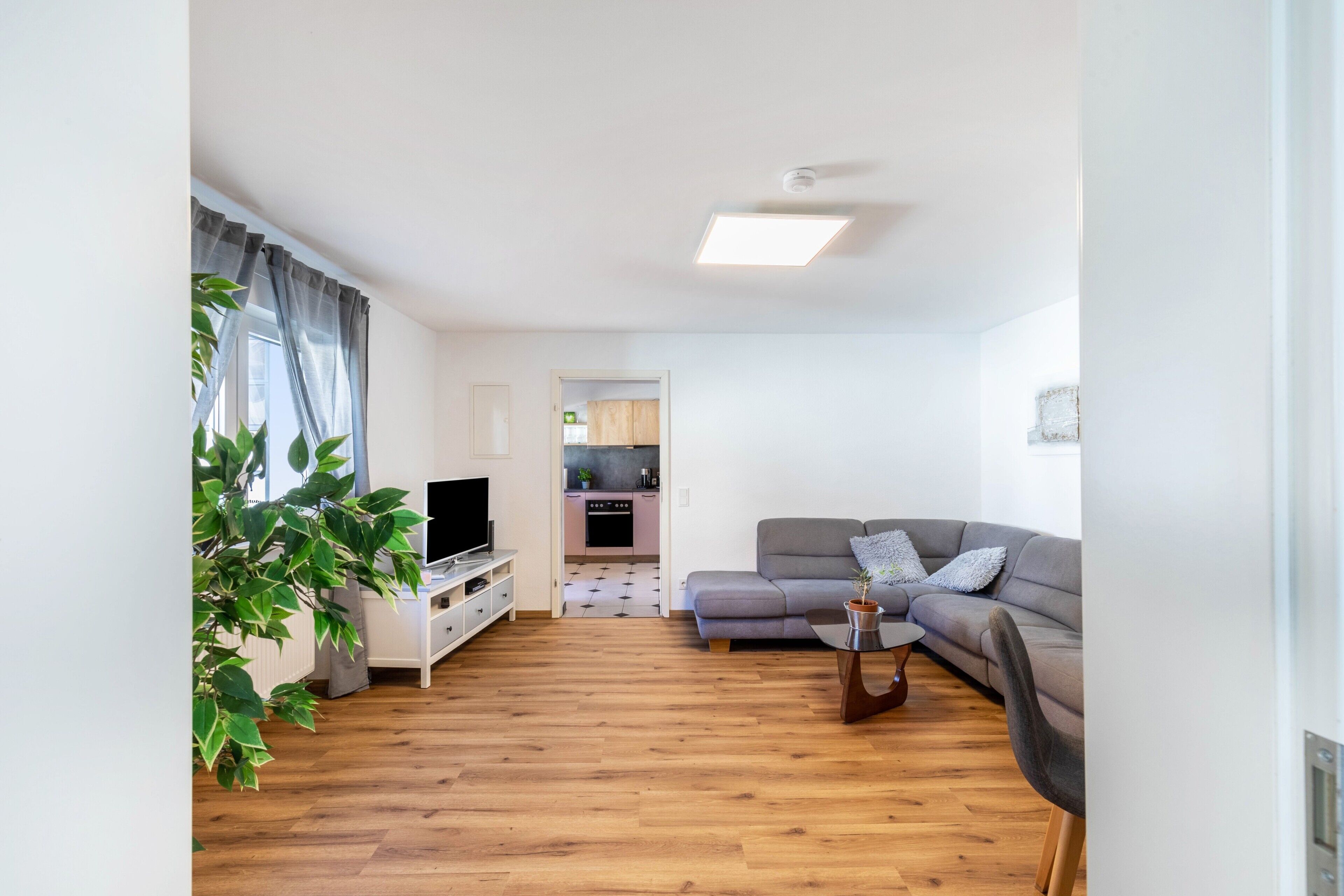 TV, video games, DVD player, stereo