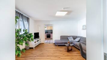 TV, video games, DVD player, stereo