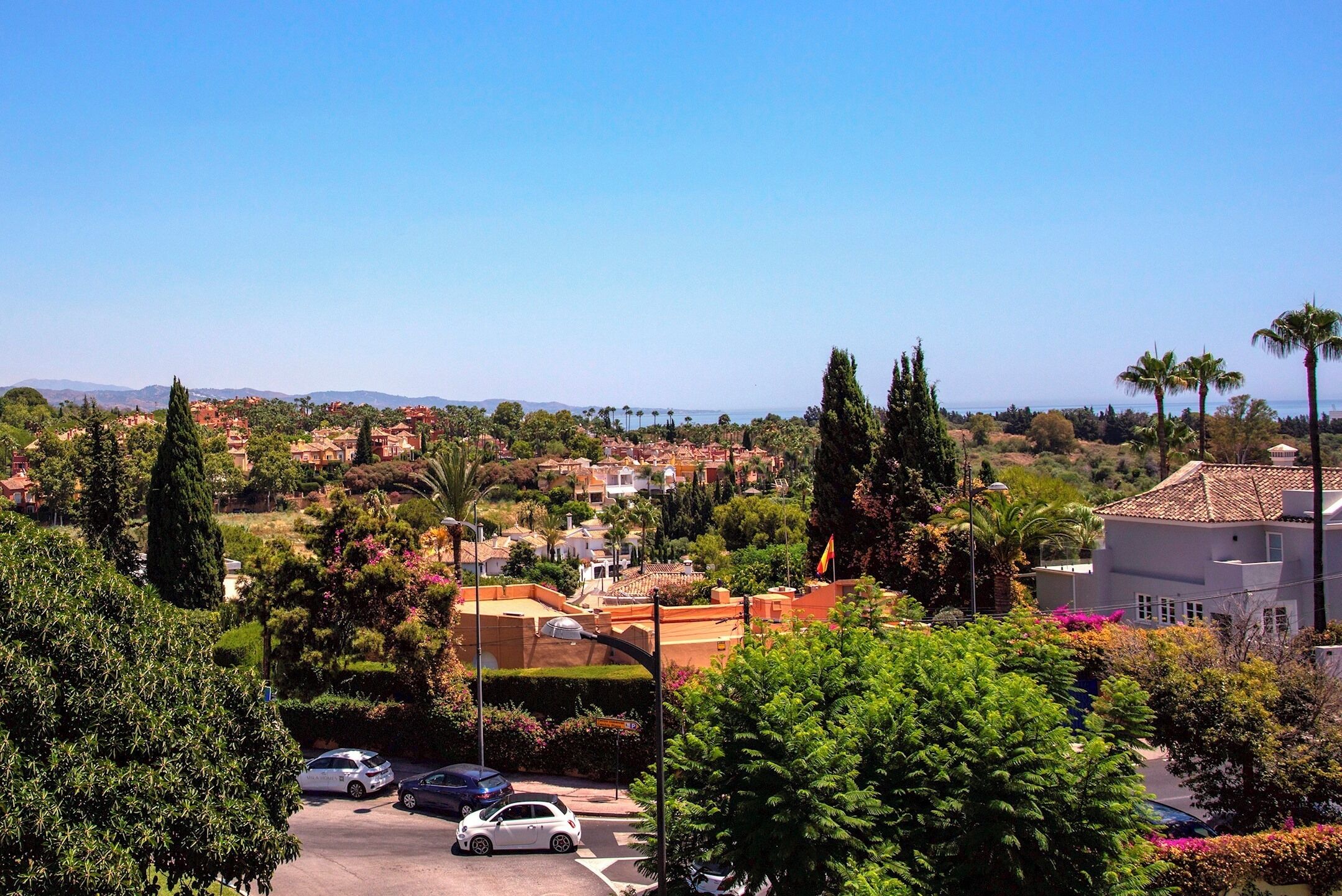 A residential area with houses, parked cars, and lush greenery.