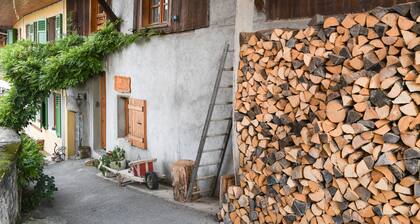 Au pied du chĂąteau - parking wifi jardin - clg savoie