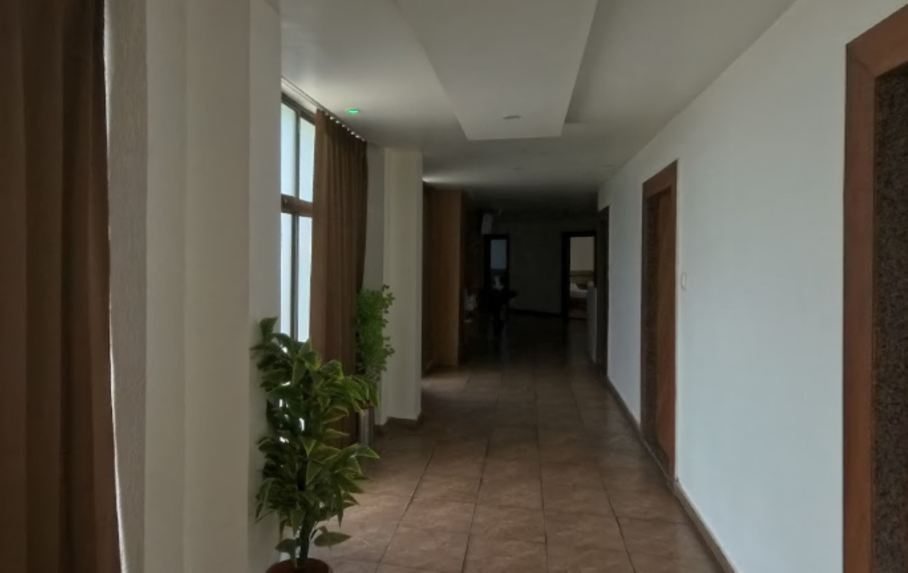 A hallway with tiled flooring, potted plants, and wooden doors.
