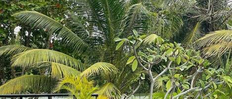 Doppelzimmer | Terrasse/Patio