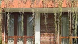 A building with a brick facade, large windows with wooden frames, and hanging vines. - Ko Lake Villa Rooms lakeside Beach (Koggala)