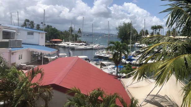 A marina with boats docked, a building with a red roof, and palm trees. - Charming Apartment in Creole Village of Trois-Ilets (Les Trois-Îlets)