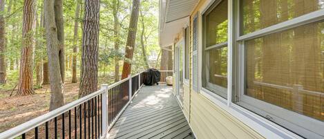 A wooden deck with a railing, surrounded by tall trees.
