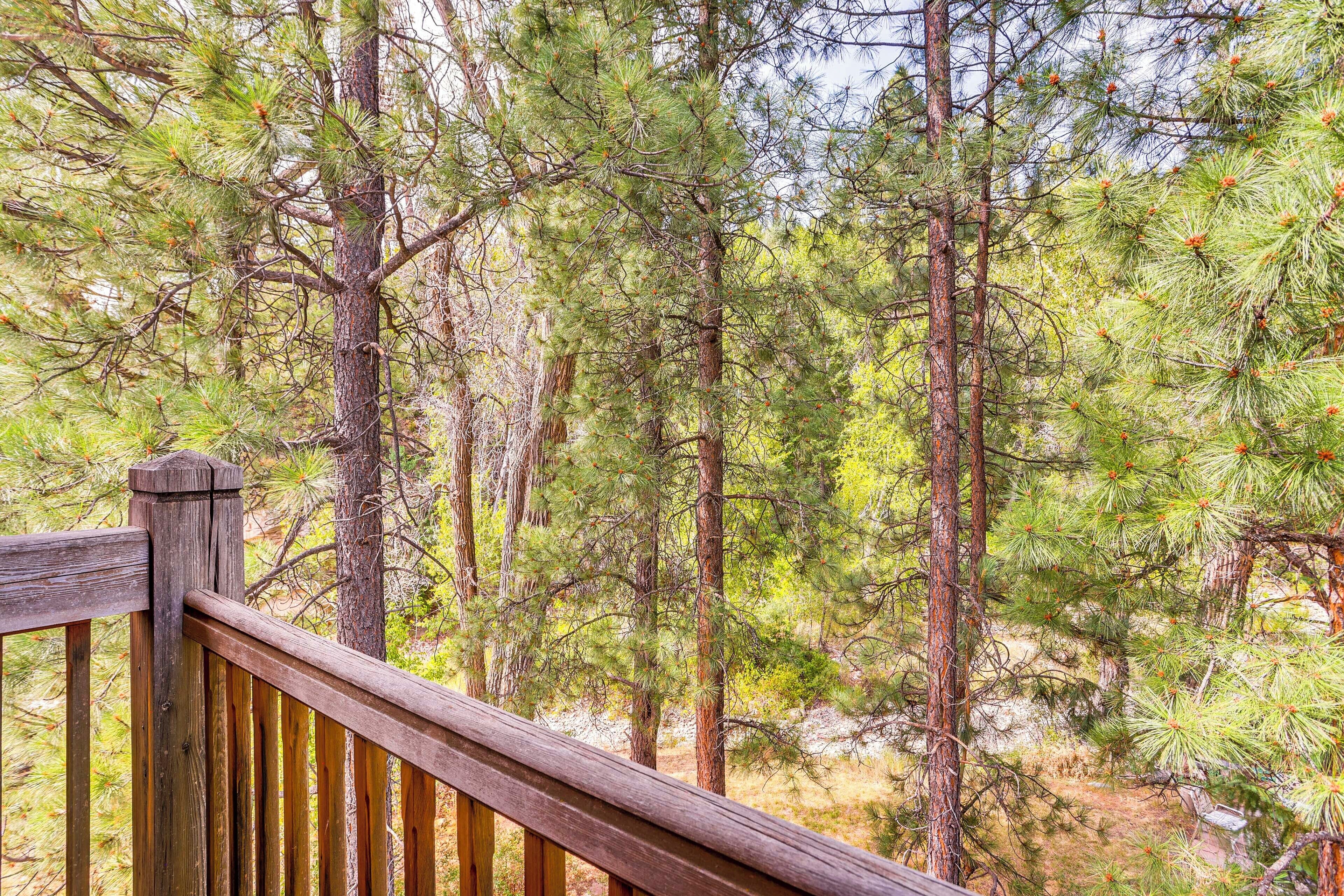 Nhà (6 Bedrooms) | Nội thất