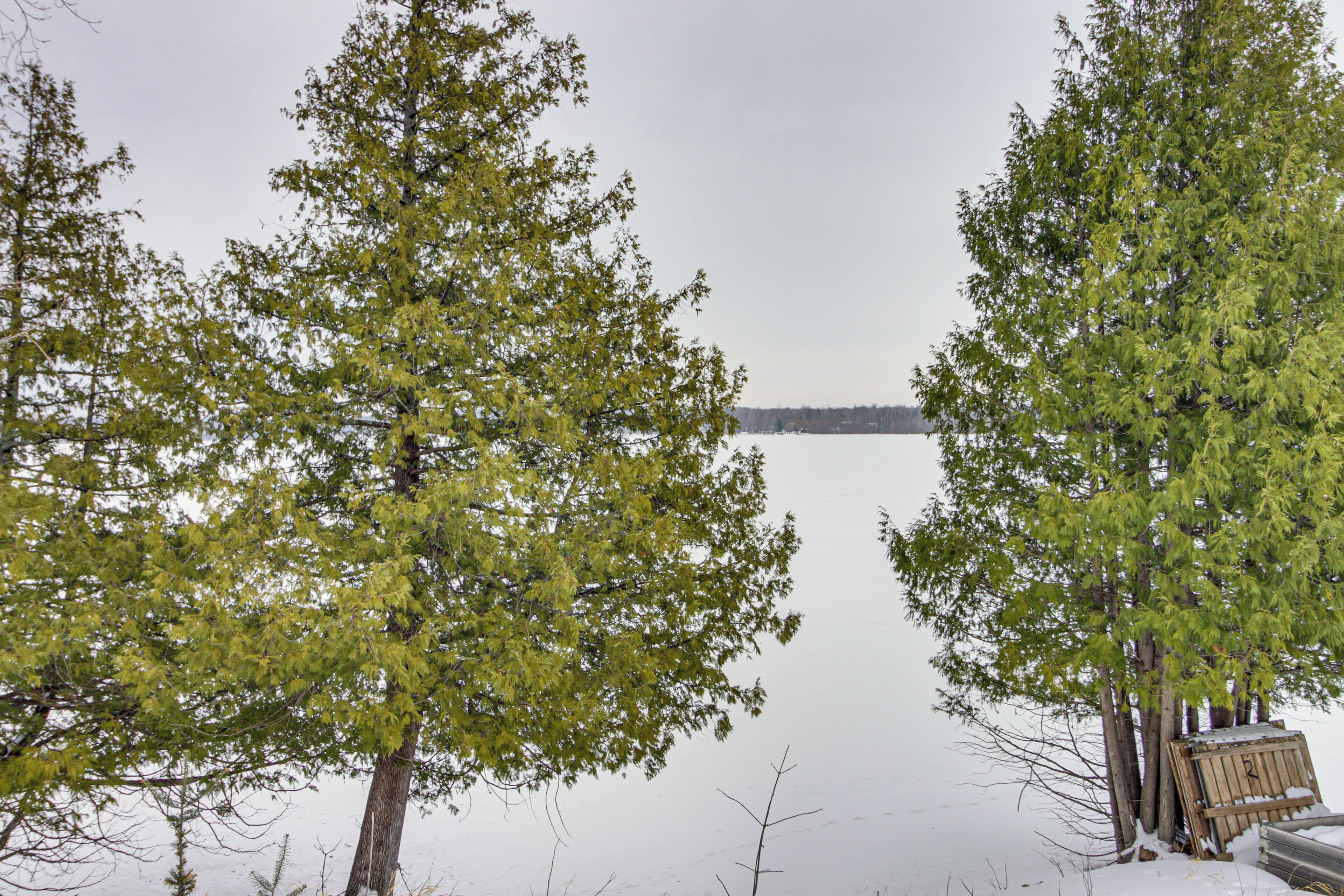 A view of a lake with trees in the foreground and a wooden dock extending into the water.