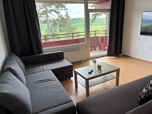 Fernseher