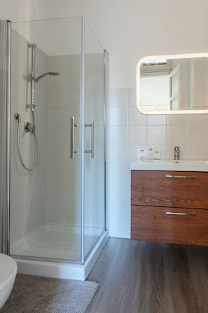 Shower, hair dryer, bidet, towels