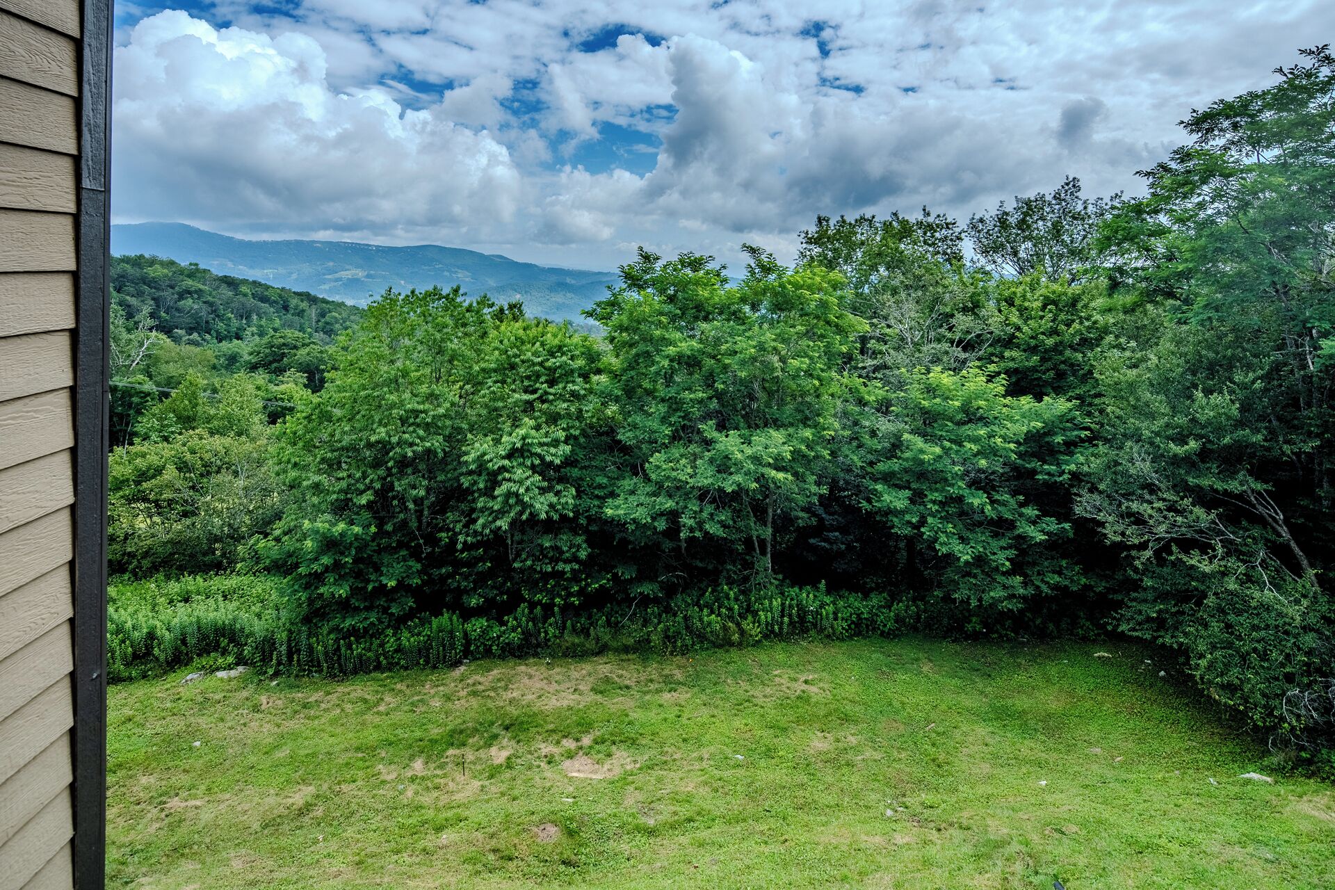A view of a lush green landscape with dense trees and a grassy area in the foreground.