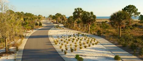 A paved pathway with a curved design, flanked by small bushes and palm trees, leading towards a distant body of water.