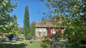 A garden with a white bench, a tall tree, and a building with red shutters.