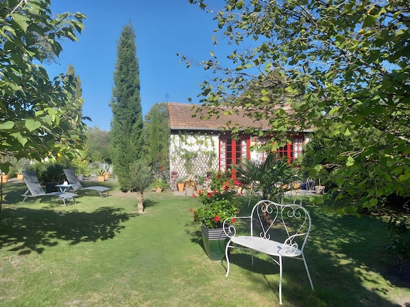 A garden with a white bench, a tall tree, and a building with red shutters.