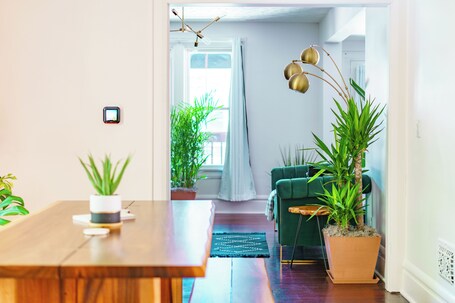 Jungle Casa | Dining room