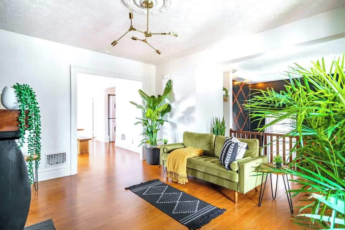 En 55-tommers smart-TV med digitale kanaler samt Netflix og Hulu