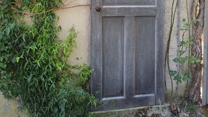 A weathered wooden door with a simple design, set against a textured wall, surrounded by overgrown greenery.