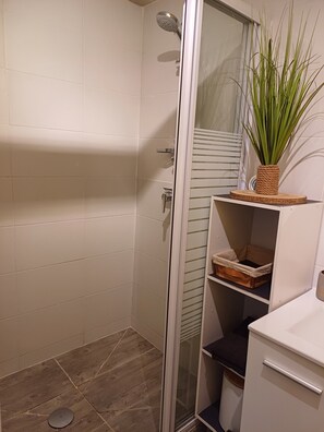 Douche, séchoir à cheveux, serviettes fournies