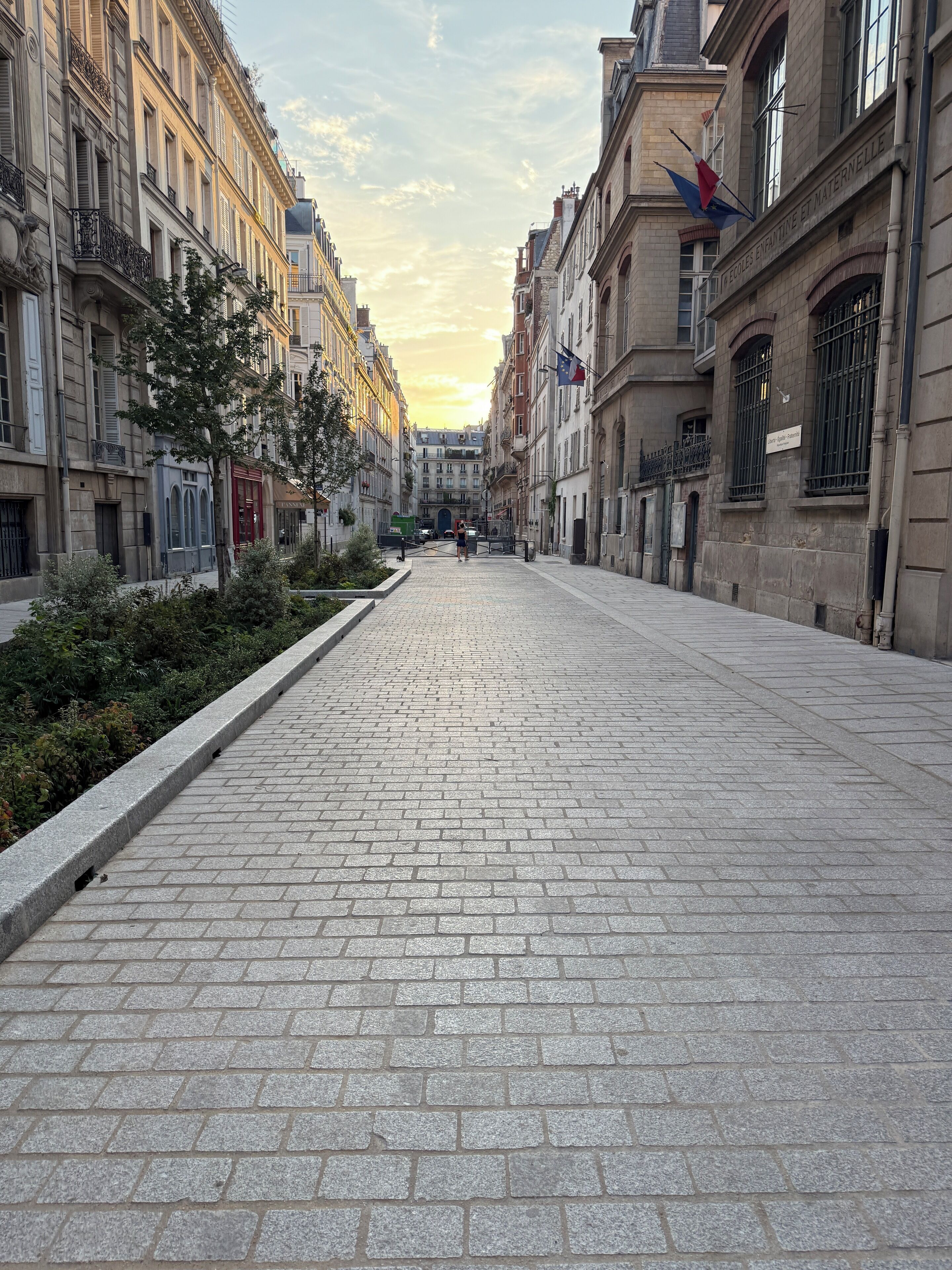 Une rue pavée bordée de bâtiments historiques, un ciel dégagé et un drapeau.